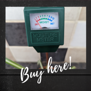 Image of moisture meter with the words 'buy here'