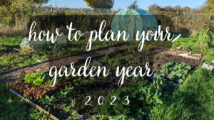 Read more about the article How to plan your garden year in 2023!